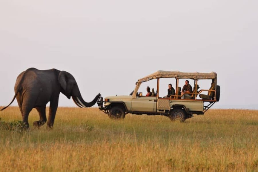 Game drive near Victoria Falls in Zambezi National Park