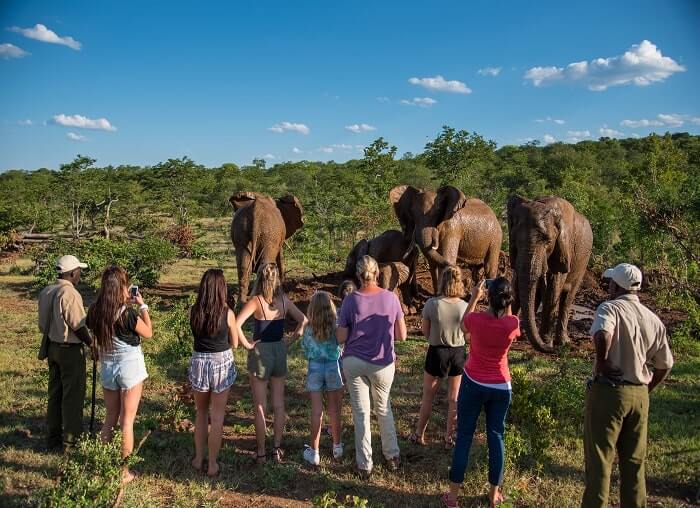  Victoria Falls village tour