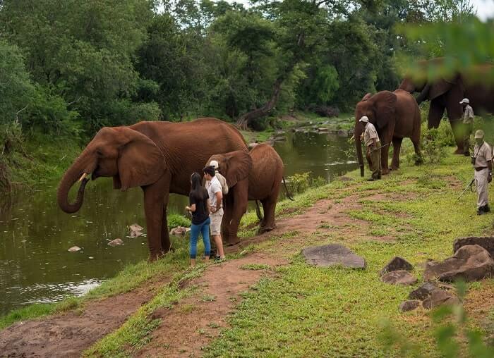  Victoria Falls village tour