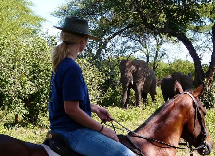  Victoria Falls village tour