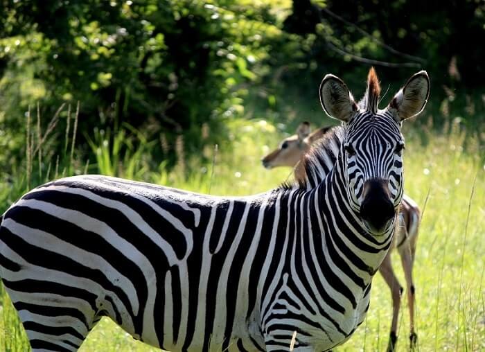  Victoria Falls village tour